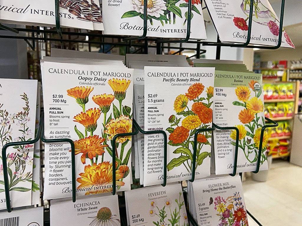 Cottagecore in the garden: Sow seeds now for a whimsical spring retreat